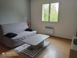 APPARTEMENT LE DOMAINE DES LIBELLULES PROCHE WALIBI - Corbelin - 4