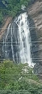 4 Acre Woods Farm Stay - Munnar - 2