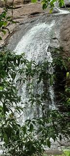 4 Acre Woods Farm Stay - 3