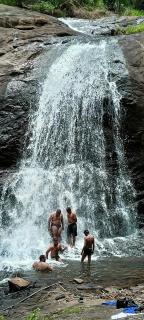 4 Acre Woods Farm Stay - Munnar - 4