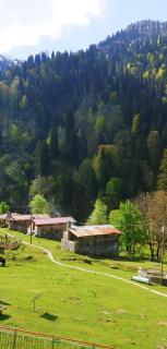 Ayder Vesile Otel - Ayder Yaylasi - 3