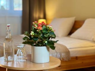 Hotel Marislav - Češnovice - 8