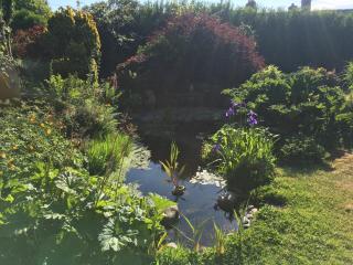Slerra Hill Bed and Breakfast, Clovelly - 1