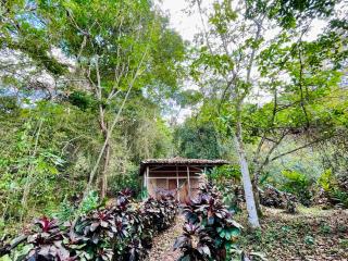 Jungle Cabins El Escondido - Muy Muy - 5