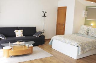 Saint Etienne : appartement Châteaucreux 40 M2 - Saint-Étienne - 3