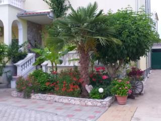 Apartments with parking space Vodice - 16543 - Vodice - 1