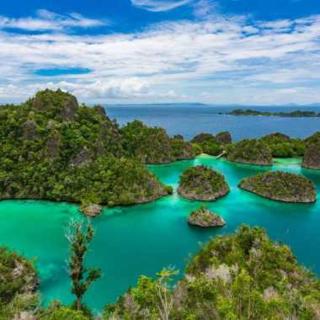 Gibran Dive Guest House - 8