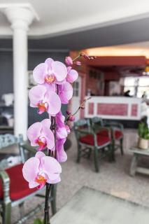 Adrián Hoteles Colón Guanahaní Adultos Only - Adeje - 4