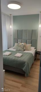 Lux Apartament ,, Górskie Krajobrazy'' Karpacz - Mountain Landscapes - Karpacz - 2