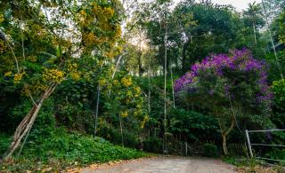 Southern Panorama Indriya Resorts & Spa - 7