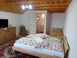 Elza Guesthouse - Rimetea - 1
