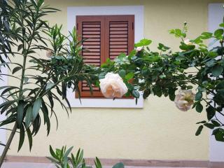 Apartmani Rosa i Linda - Rijeka - 7