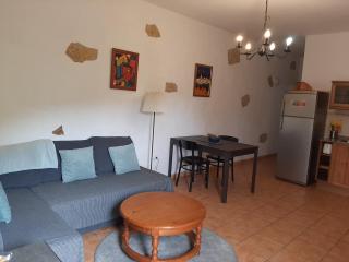 Peaceful house set on a vineyard & work friendly - 2