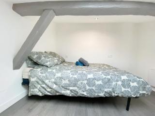 Hypercentre Toulouse 7 appartement climatisé - Toulouse - 1