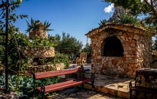 Green Oasis Apartment - 9