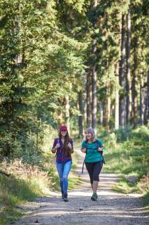 Land-gut-Hotel am Ring - Meuspath - 3