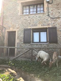 Casa entera a Emporda 10 min platja i piscina - 7