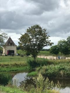 Le Pigeonnier de Château Picon - Eynesse - 9