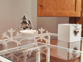 El floc de Neu - Camprodon - 9