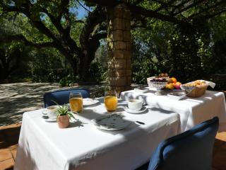Domaine du Paradis des Oiseaux - Mougins - 6
