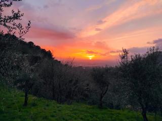 B&B Rosso Baccara - Montevettolini - 6