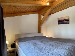 Hagelstein III "Herzmuschel" - Dahme - 3