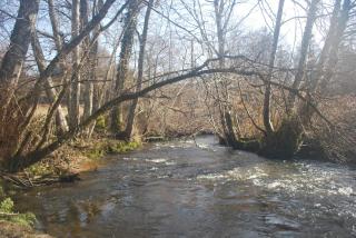 Veyrinas 43 - Saint-Yrieix-la-Perche - 2