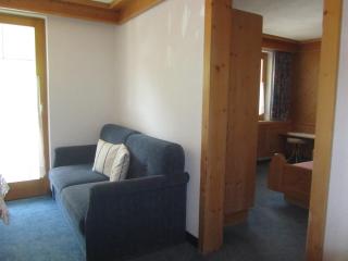 Hotel des Alpes - 8