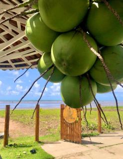 Condomínio Praias de Maragogi & Casas Deluxe - Maragogi - 7
