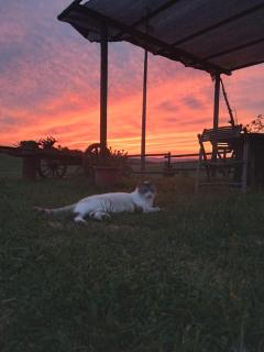 Enjoy Sunset - Colle Massari - 3