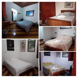 Hostal La Comedia - Jardin - 2