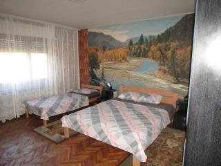 Apartman Milena - Kladovo - 8