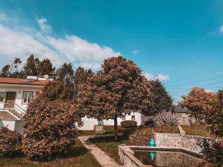 Windmill House - Santa Maria da Feira - 5