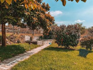 Windmill House - Santa Maria da Feira - 6