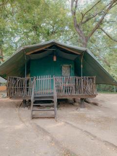 Camp Leopard - Yala Safari Glamping - Yala - 2
