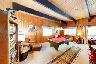 Conifer Donner - 4