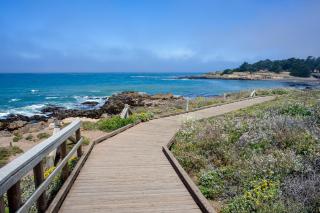 The Silver Lady - Cambria - 6