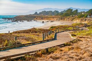 The Silver Lady - Cambria - 5