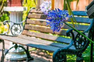 Santa Barbara Beach Cottage - 3