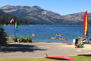 Bernese Gem - Truckee - 6
