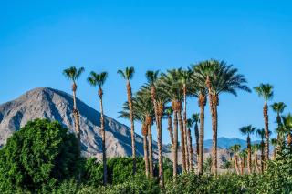 Oakmount Escape - Desert Hot Springs - 9