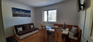 Apartma Dana-Brinjtesa - Jesenice - 5