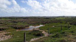 La p'tite maison de la plage - 4