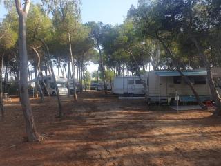 Agricampeggio La Pineta - Lesina - 5