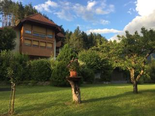 Cottages - Chalets Mag. Scholz - Seeboden - 9