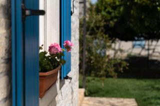 Villa DAULOS - Novigrad - 8