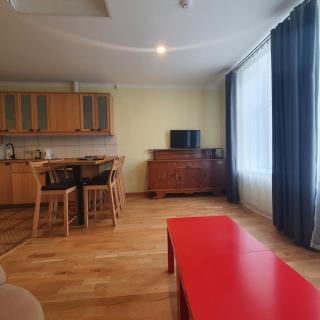 HOT RIGA ERNESTINES IELA 7-7 ENJOY THE FEEL Of HOME AND HISTORY! - Riga - 0