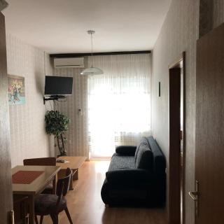 Apartment Irena - Crikvenica (Cirquenizza) - 1