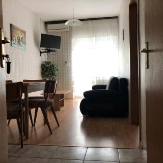 Apartment Irena - Crikvenica (Cirquenizza) - 2