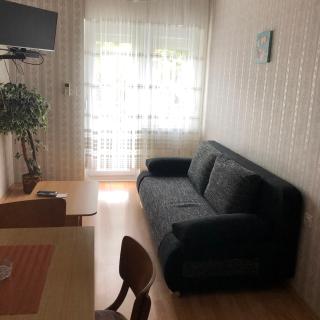 Apartment Irena - Crikvenica (Cirquenizza) - 3